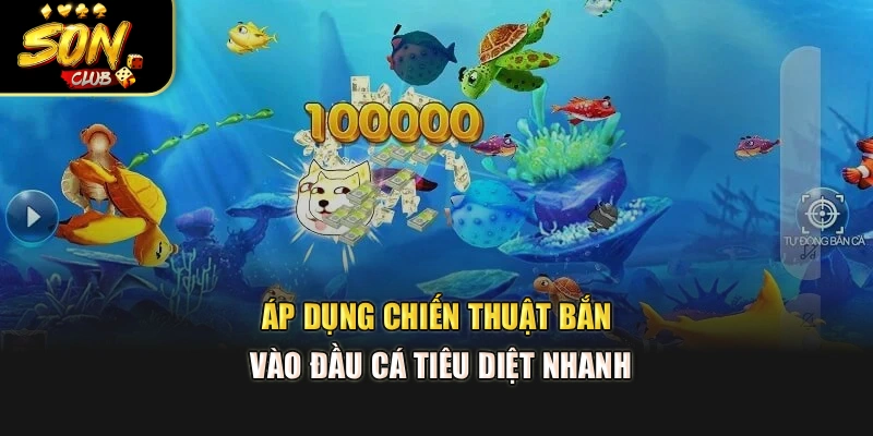 Áp dụng chiến thuật bắn vào đầu cá tiêu diệt nhanh