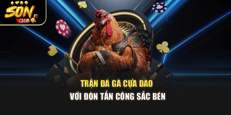 Trận đá gà cựa dao với đòn tấn công sắc bén